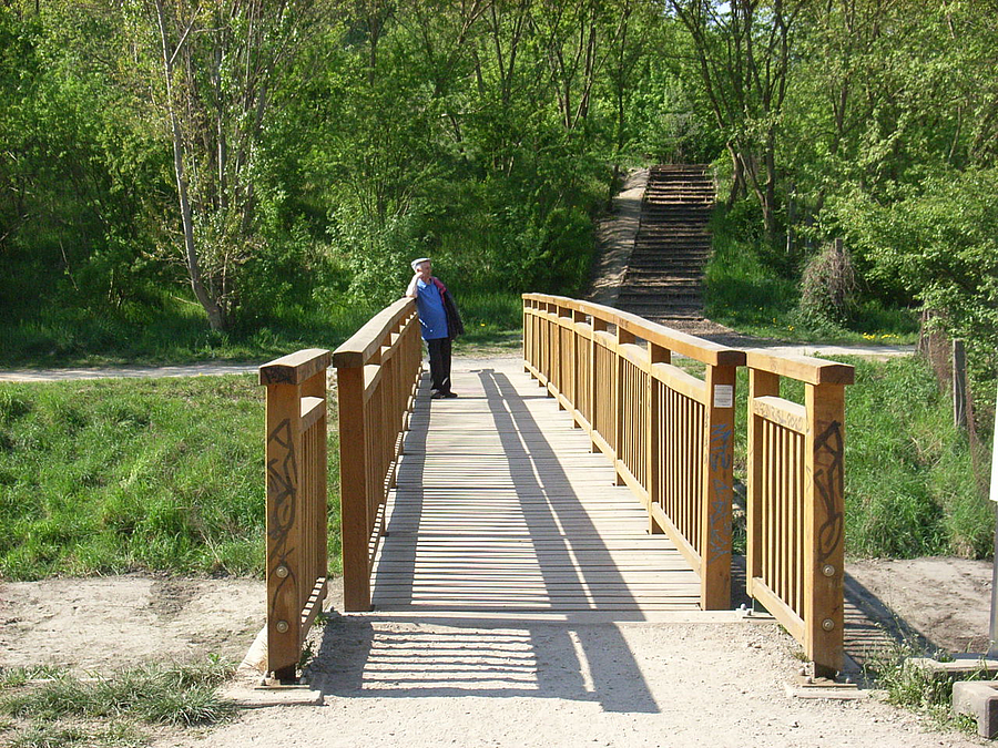 Die Holzbrücke überspannt die Wuhle