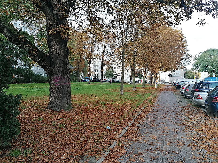 Grünfläche an Straße mit parkenden PKWs im Herbst
