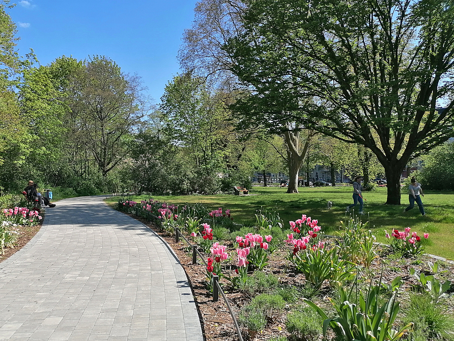 Gepflasterter, breiter Parkweg mit begleitenden Tulpenbeeten, Rasen, Bäume im Frühjahr