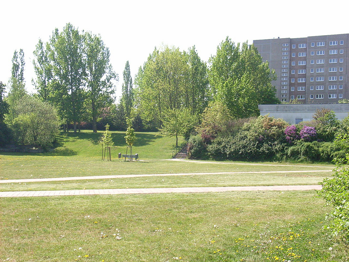 Große Rasenfläche vor Wohnheim, Bänke, neu gepflanzte Bäume, Wege