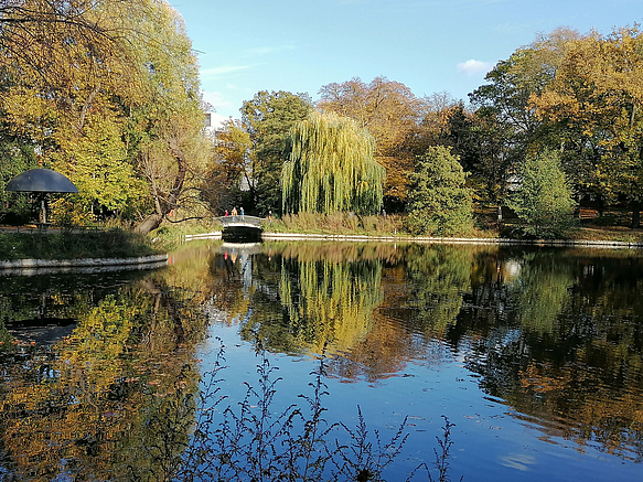 Teich mit sich spiegelnden herbstlichen Bäumen