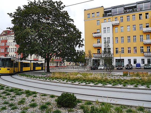 Begrünter Platz mit Tram auf Wendeschleife, Baum, Wohngebäude