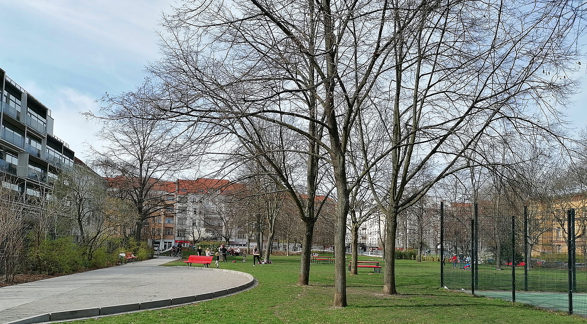 Panorama Grünanlage im Frühling mit Bäumen und sichelförmiger Boulefläche