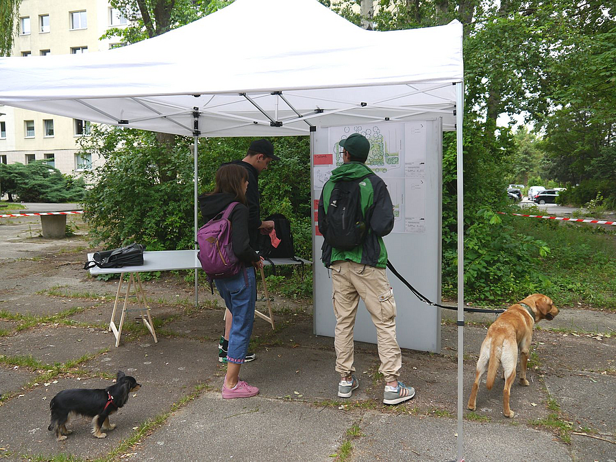 2 junge Menschen mit 2 Hunden betrachten Schautafel unter Pavillon