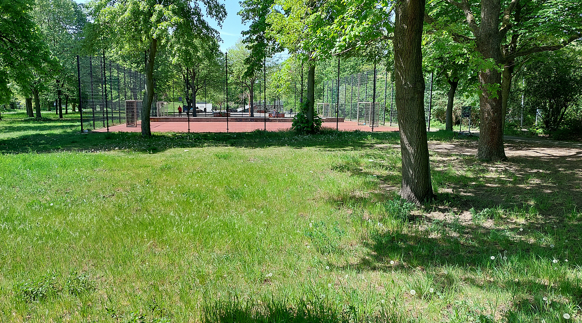 Rasenfläche, große Laubbäume, im Hintergrund Ballspielplatz