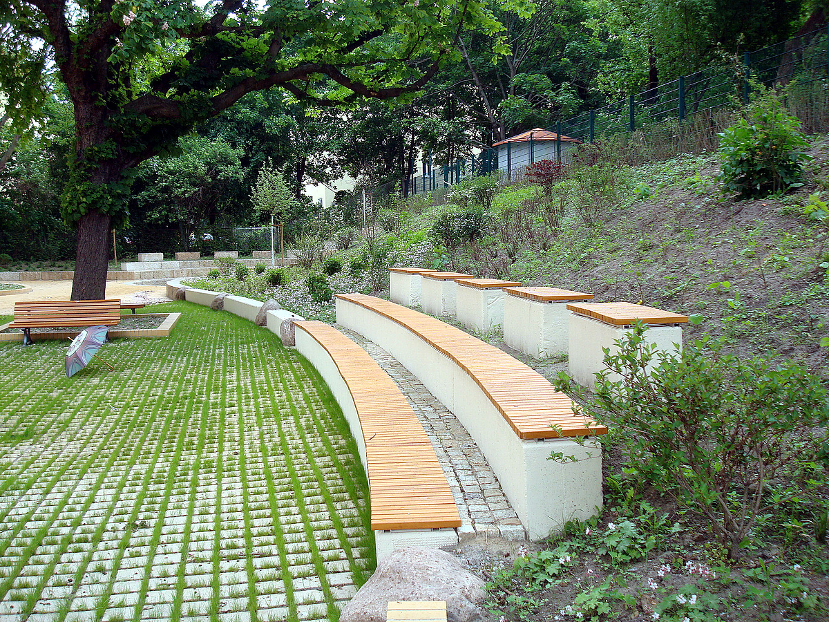 Lange Betonsitzbänke mit Holzauflagen im bepflanztem Hang, große Eiche, Rasengittersteine