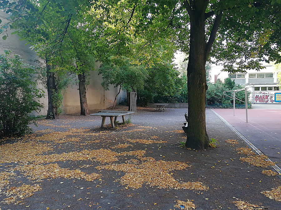 Tischtennisplatte unter Bäumen, daneben Sportplatz 