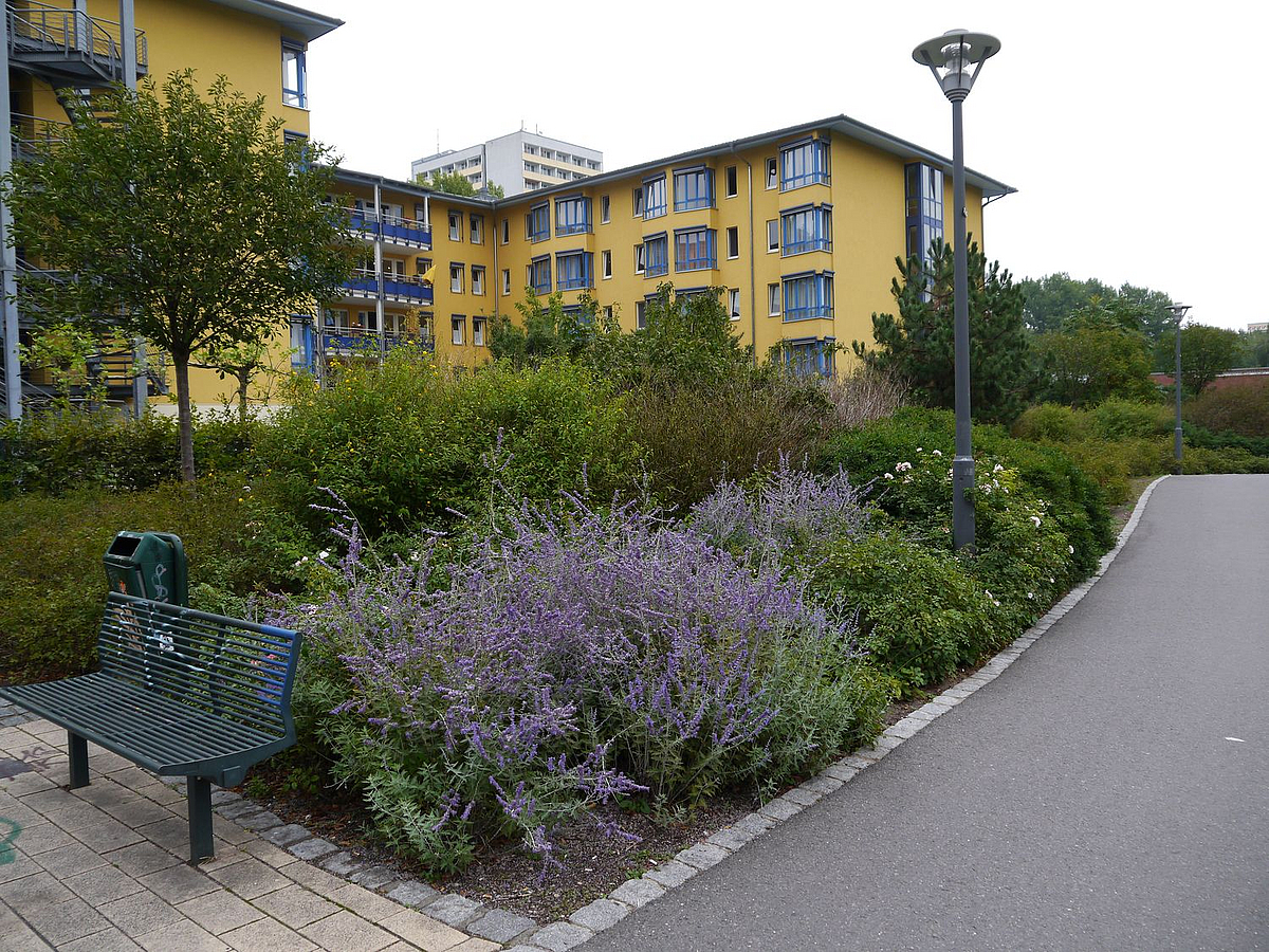 Apshaltweg mündet in Klinkerplatz, Bank, blaue Stauden, dahinter gelbes Gebäude
