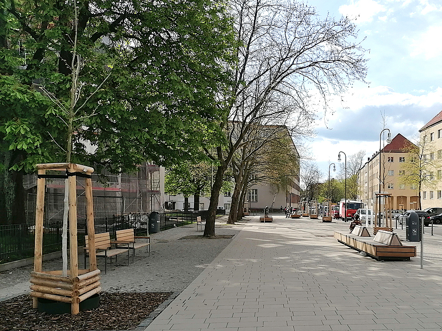 Breite Promenade mit jungen und alten Bäumen, Holzdecks und Bänken