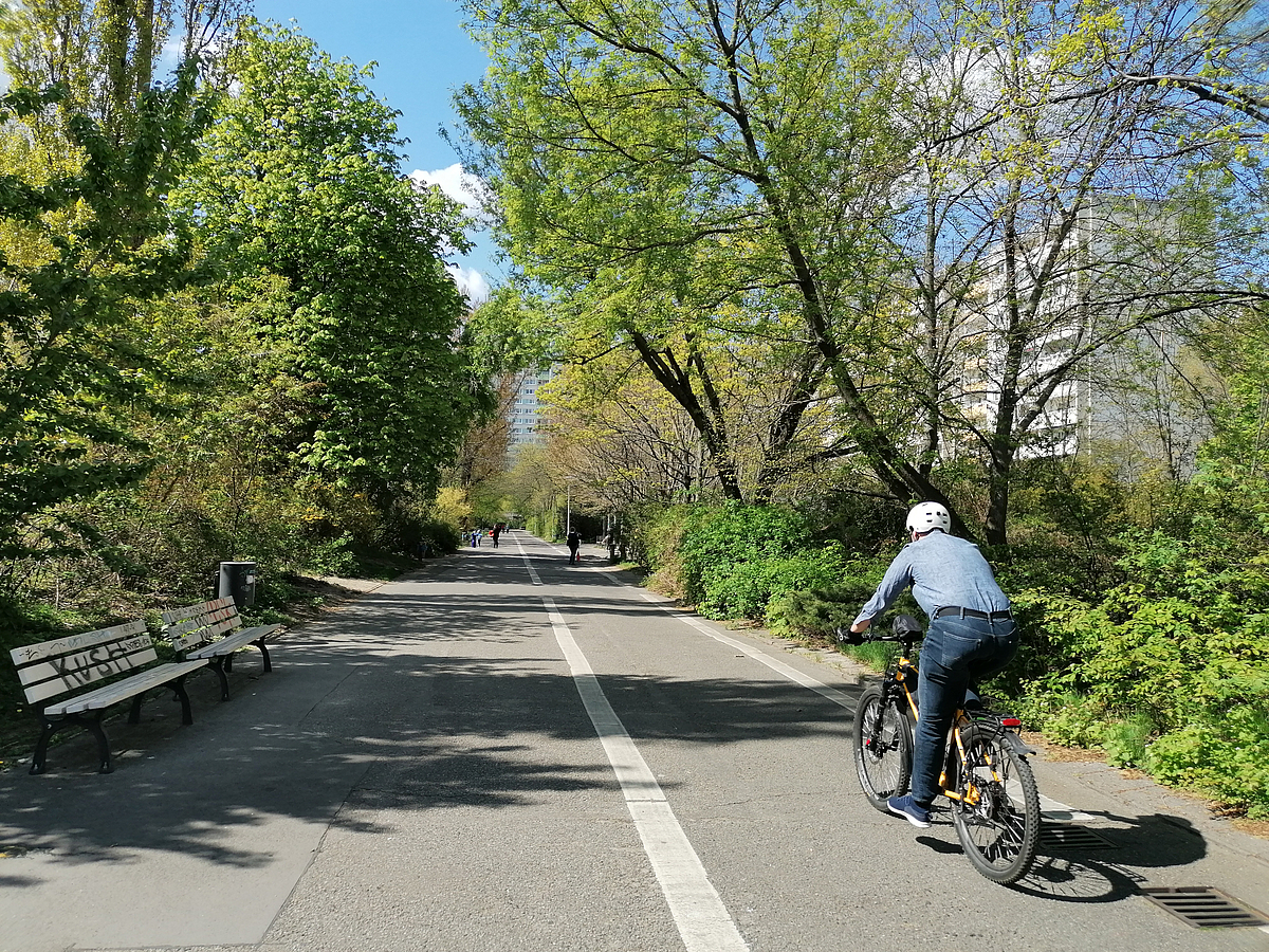 Radfahrer auf gekennzeichentem Radweg auf breitem Asphaltweg im Grünen, Sitzbank