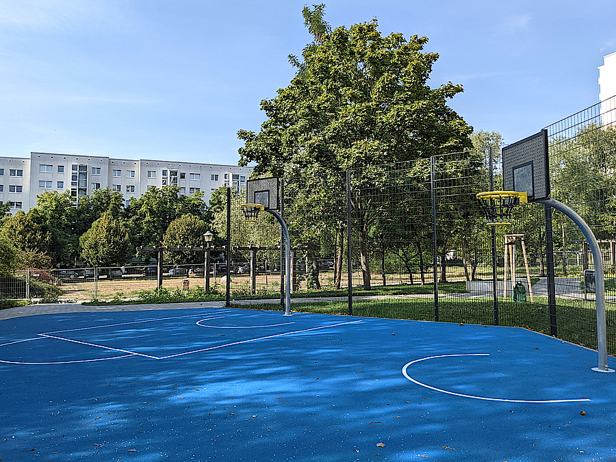 Basketballplatz mit blauem Boden, Baum