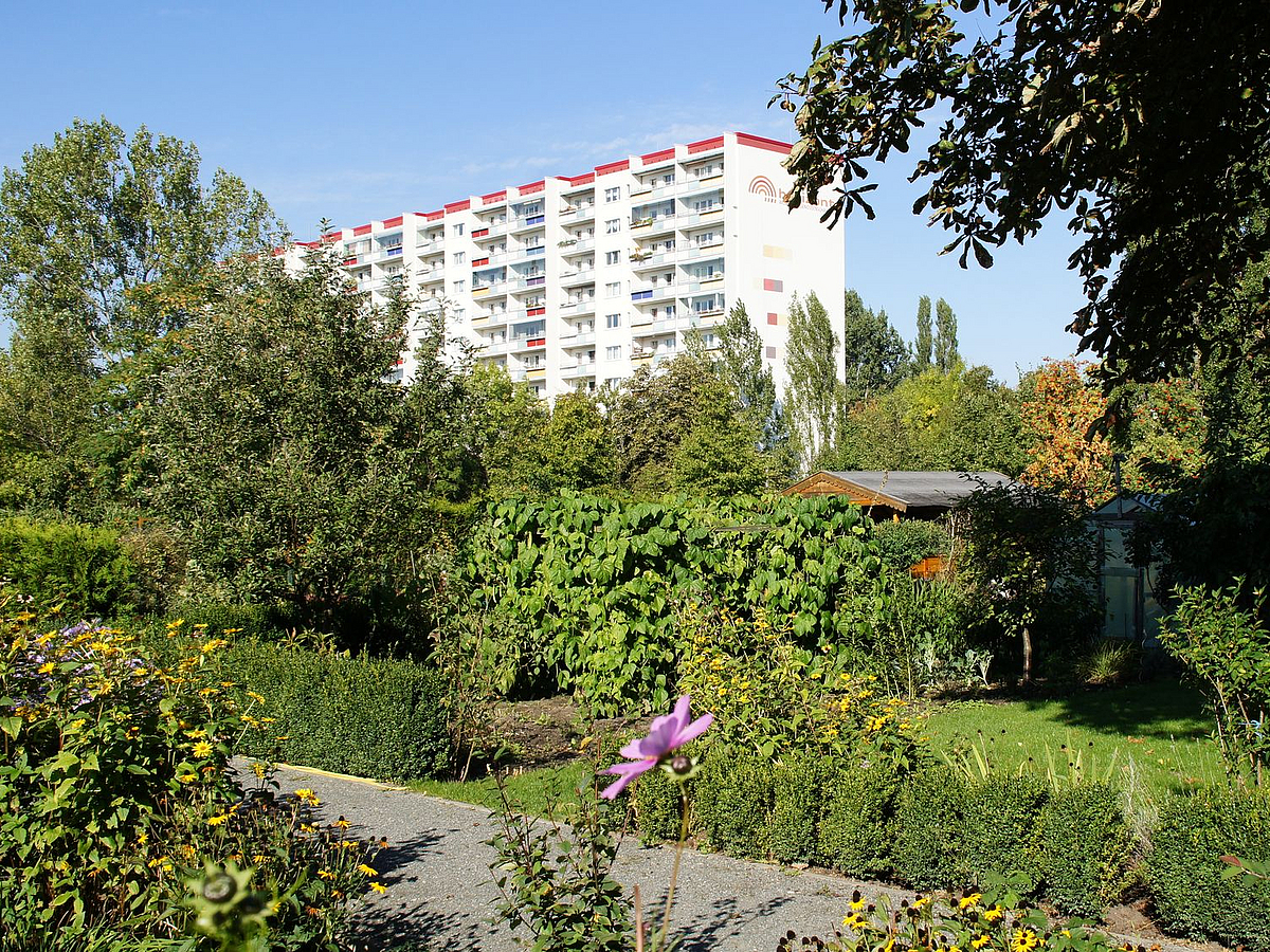 Kleingärten vor Wohnhochhaus