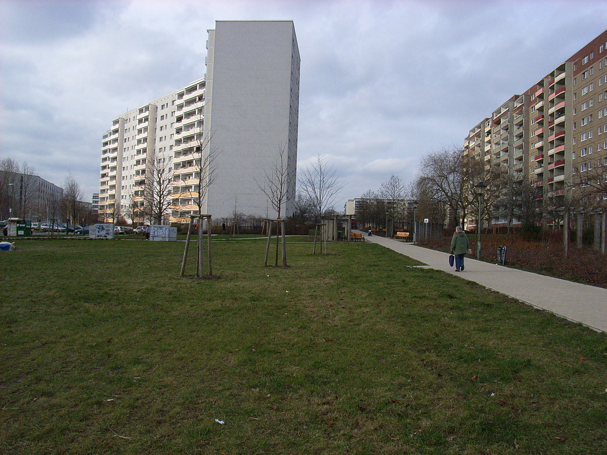 Rückbaufläche mit Rasen an der Niemegker Straße.