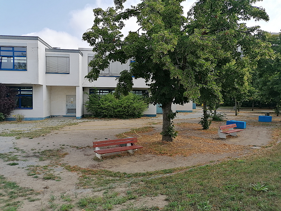 Sandige Fläche mit großen Linden, Bänke, helles, mehrgliedriges Schulgebäude
