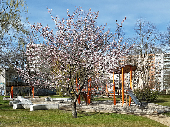 Spielplatz unter blühendem Obstbaum