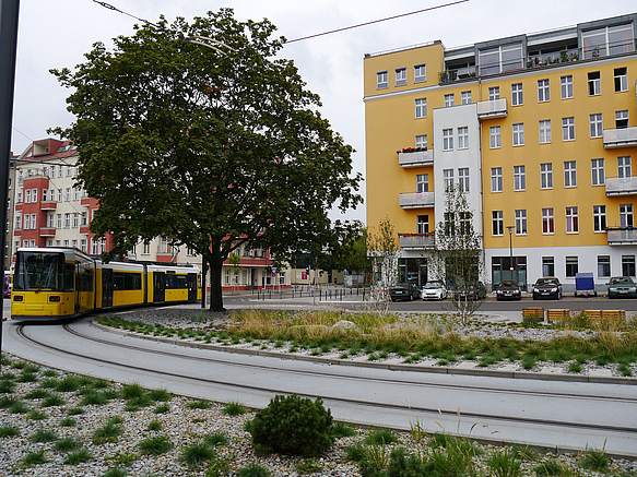 Straßenbahnwendeschleife mit Bahn, dahinter Wohnhaus, Baum