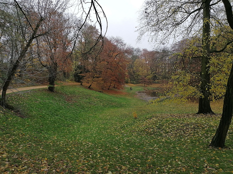 Herbstliche Senke mit Wiese, am Rand Bäume und Weg