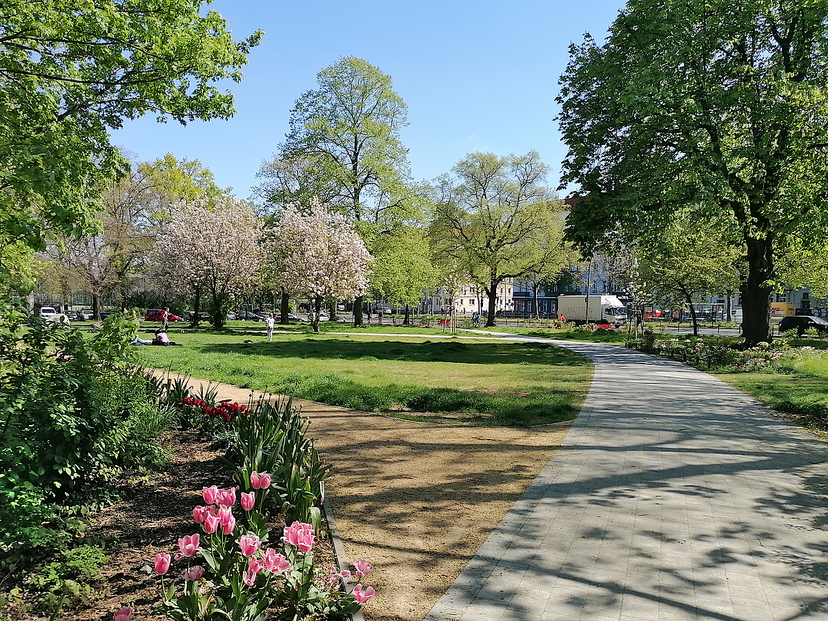 Park mit blühenden Kirschen und Tulpen, Weggabelung