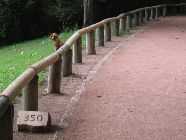 Roter Weg mit Holzbande, Meilenstein 350 und Hund